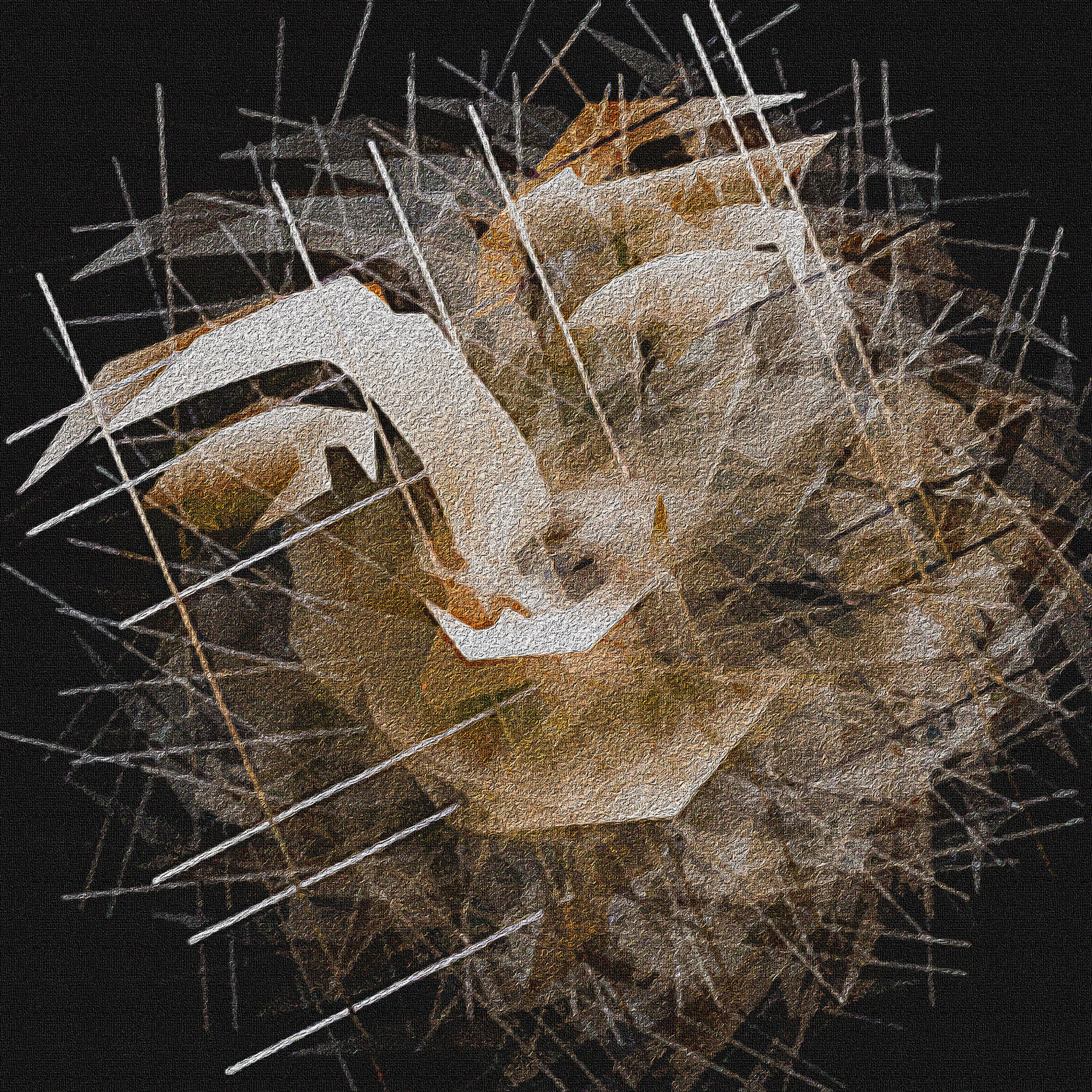 Glass Ceiling fine art by David Sloan